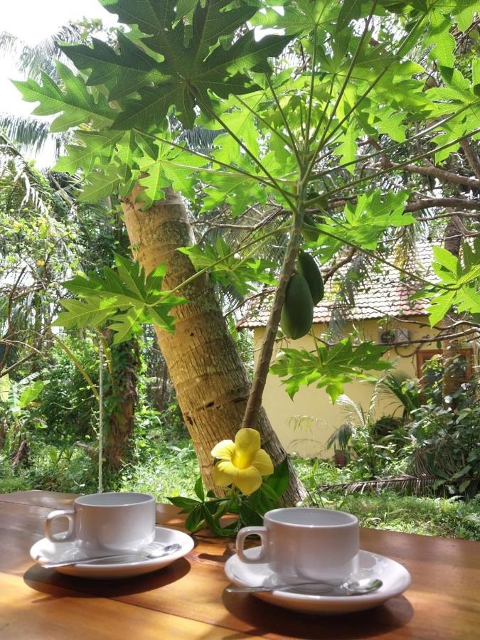 Phu Quoc Pomelo Garden Leilighet Eksteriør bilde