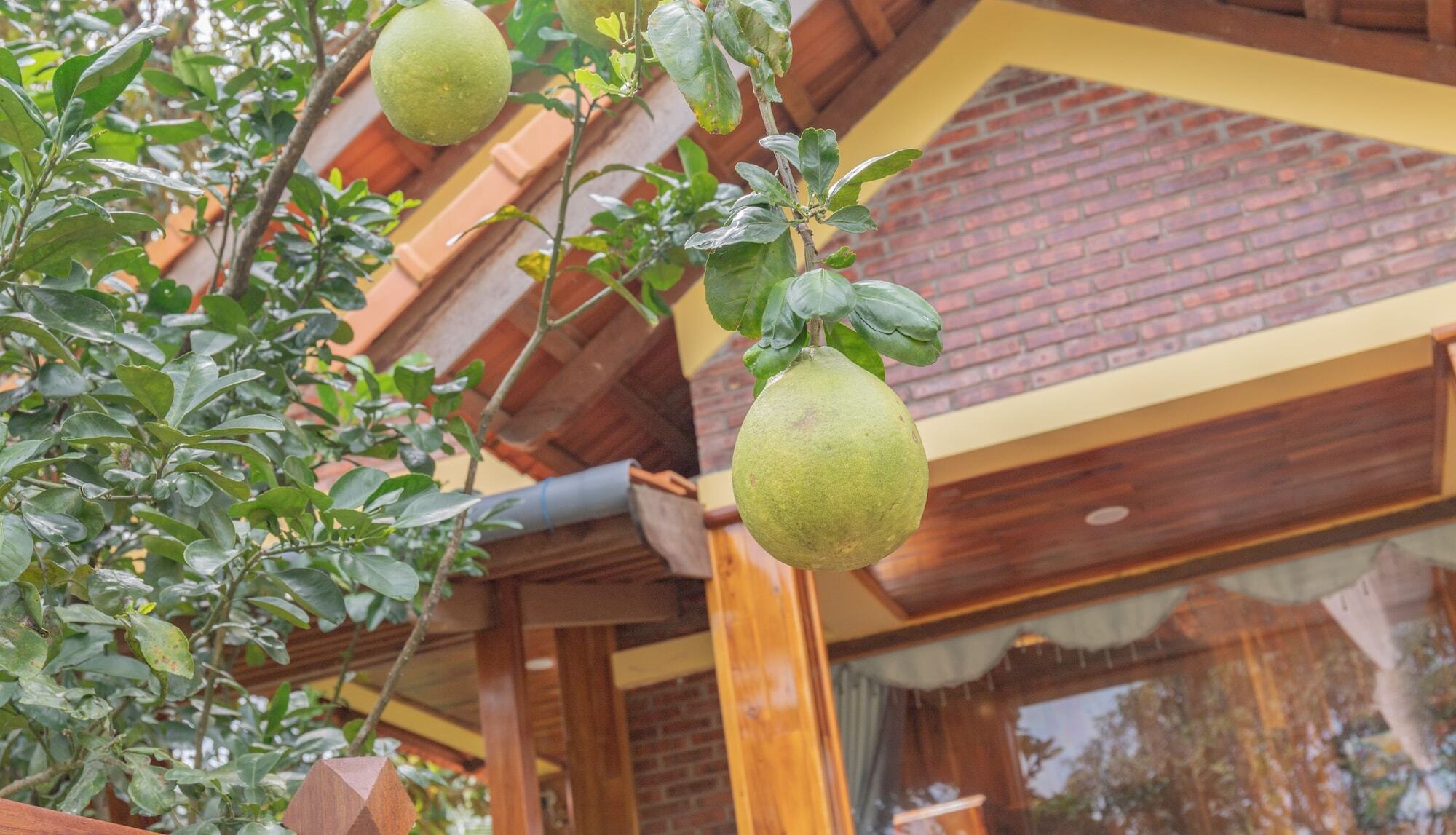 Phu Quoc Pomelo Garden Leilighet Eksteriør bilde